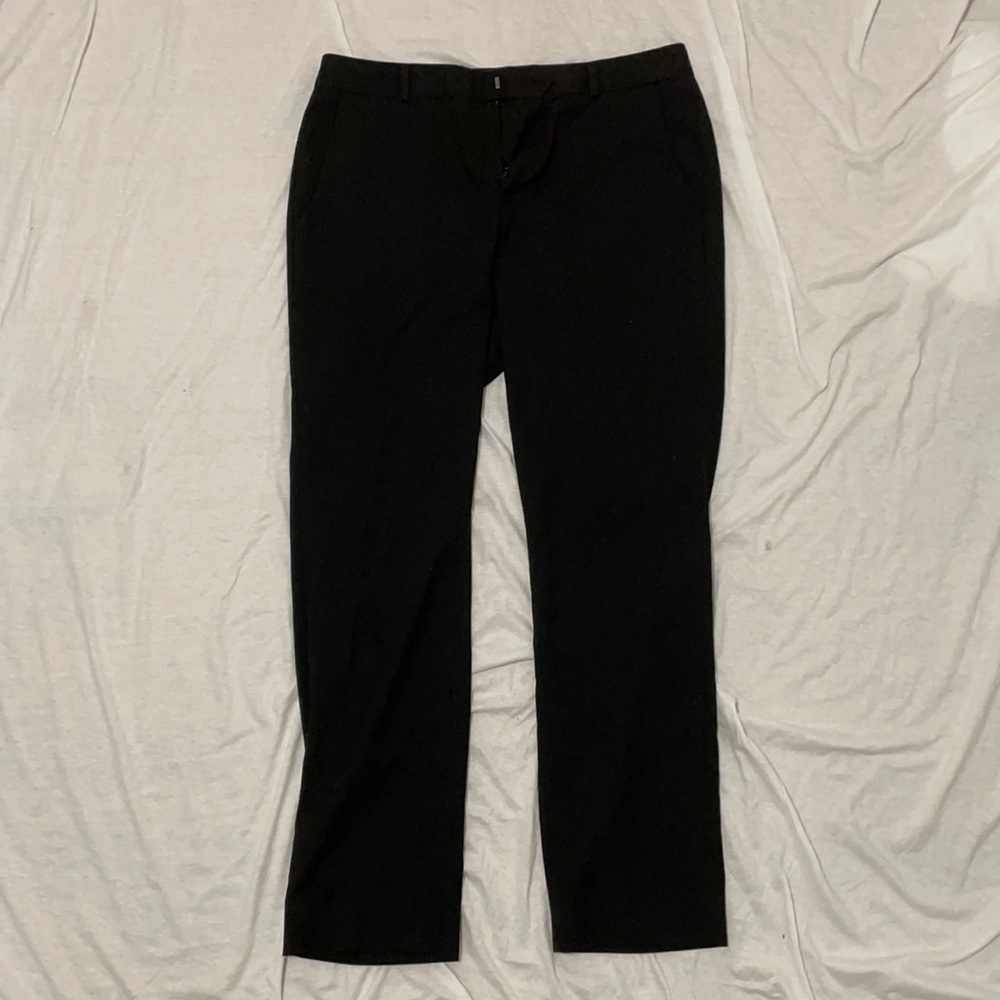 Banana Republic Ryan Curvy Fit pants